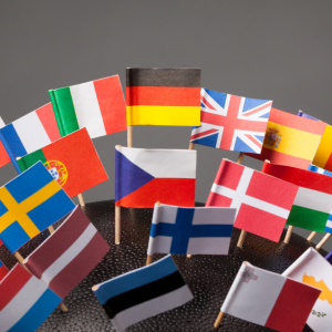 Modern Foreign Languages